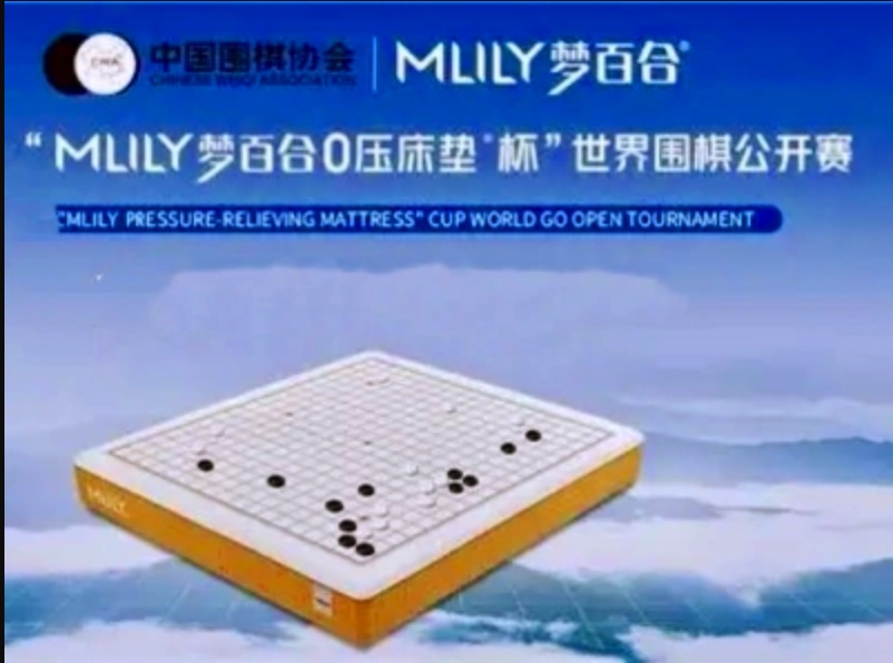 第6回夢百合杯世界囲碁オープン戦が復活